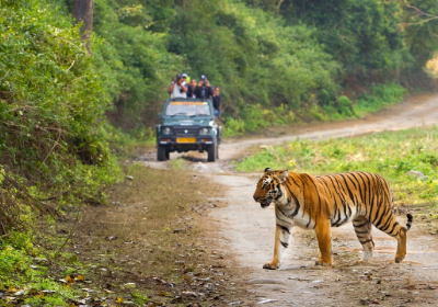 Dehradun to Jim Corbett